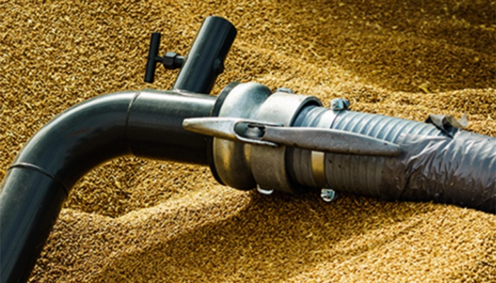 Close-up image of a grain hose on top of a large pile of grain