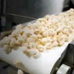 Ravioli moving on a white conveyor